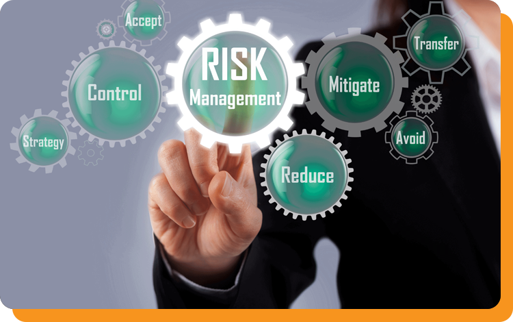 risk management consulting